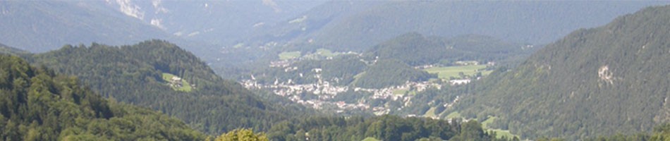 f_950_200.jpg