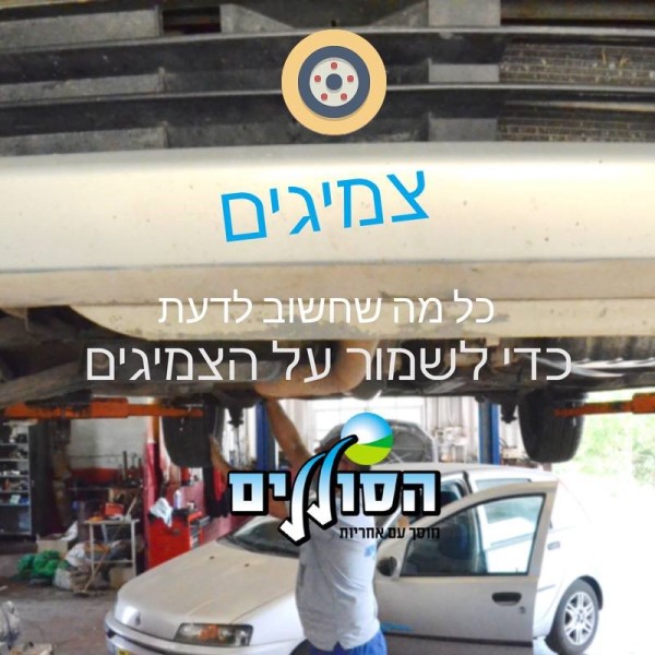 שמירה על ציגי הרכב.jpg